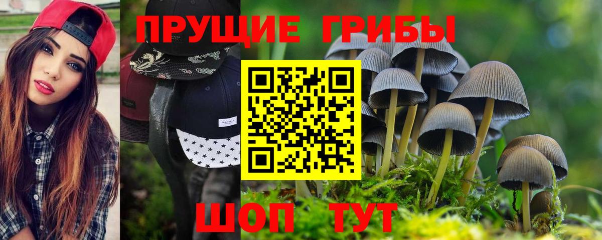 дарнет шоп  Вход с VPN  Копейск  Псилоцибиновые грибы прущие грибы 
