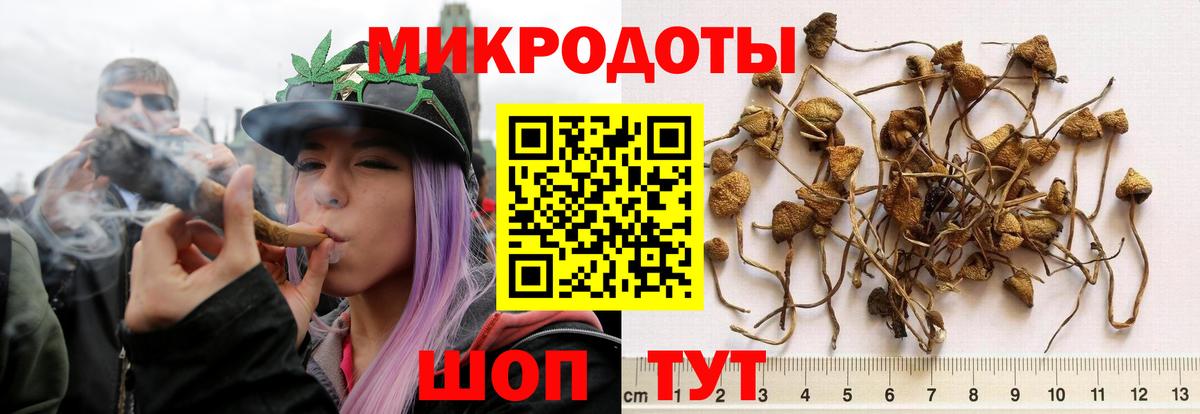 даркнет сайт  Копейск  Галлюциногенные грибы MAGIC MUSHROOMS 